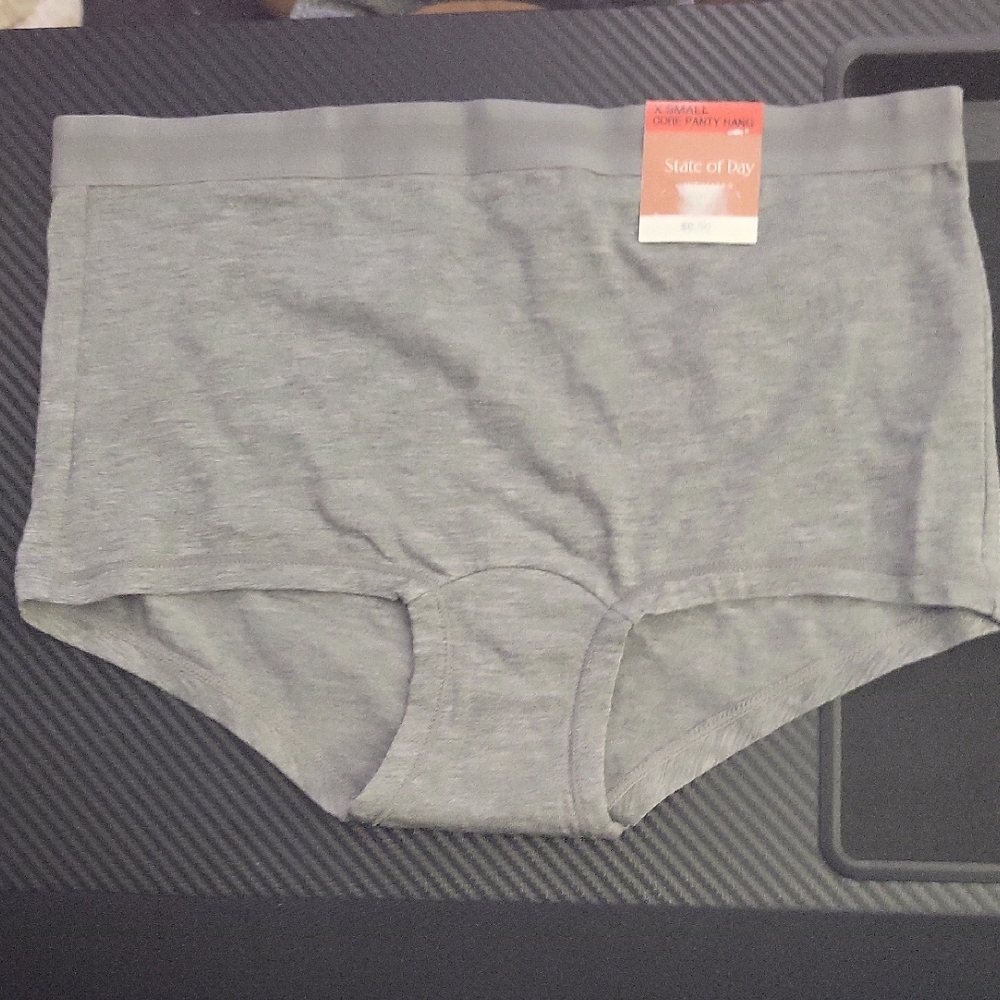 Nwt State Of Day Gray Brief‎ XS